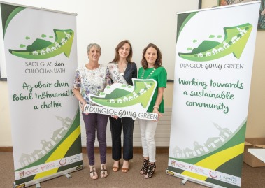 Dungloe Green initiative - Cathaoirleach small group 379x269